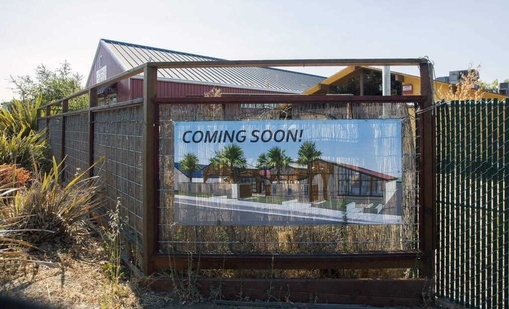 napa street dispensary dispensary front