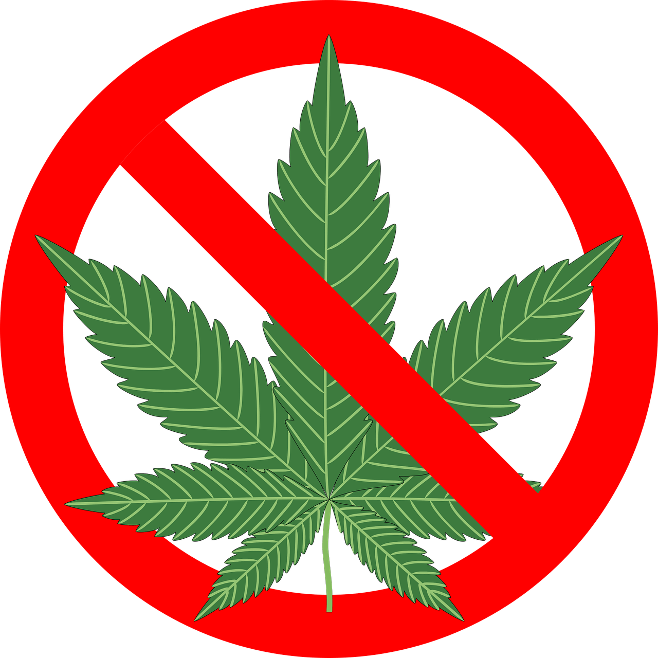 no_pot "no pot" street sign