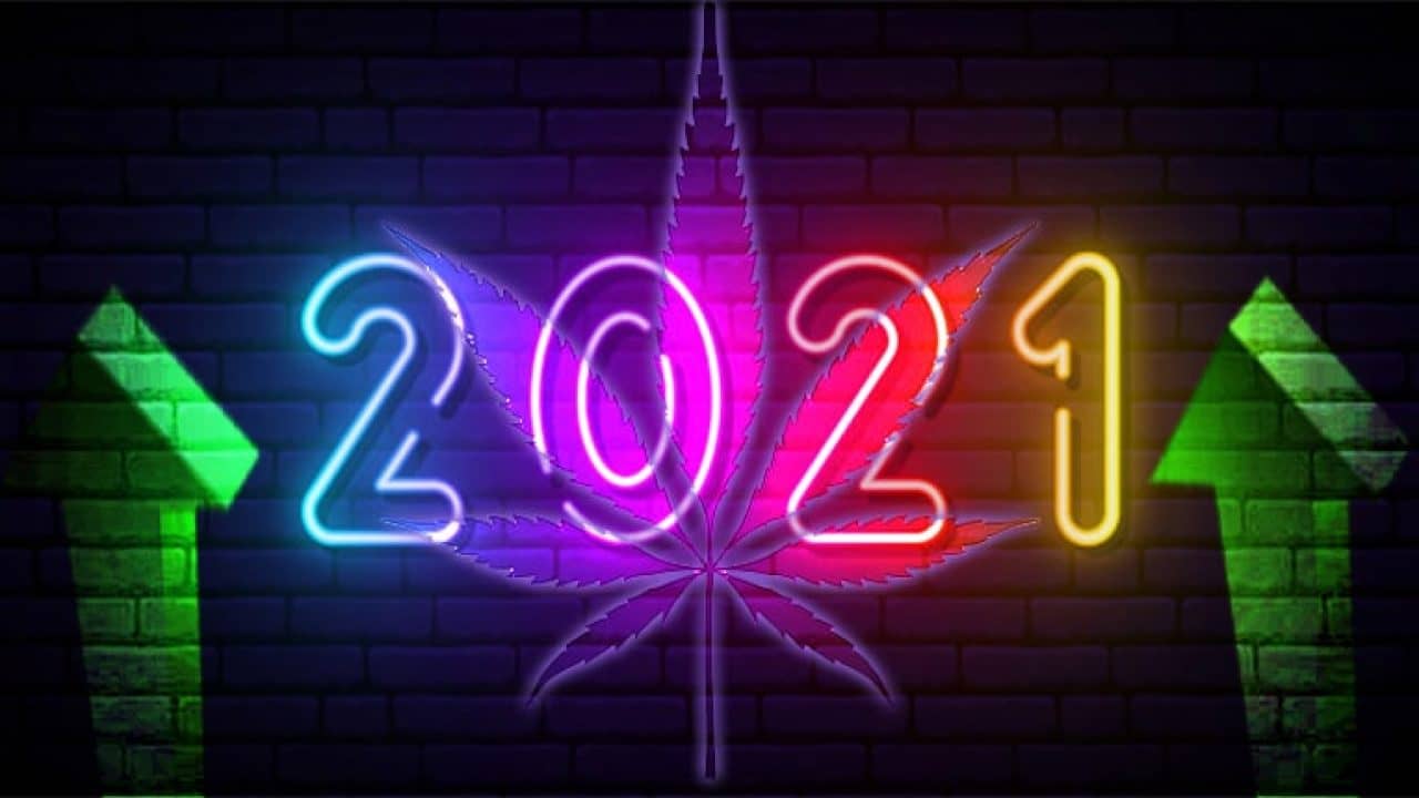 neon cannabis 2021 sign