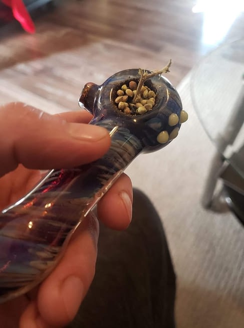 seeds and stems in pipe