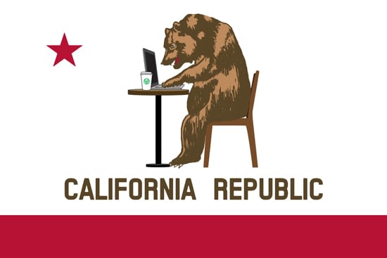 bear-blogging-on-laptop california bear blogging for sonoma dispensary